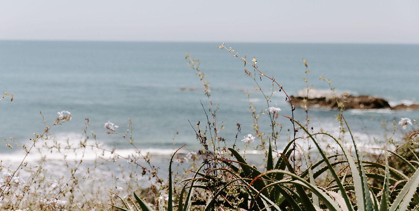 view of laguna beach from residential treatment center