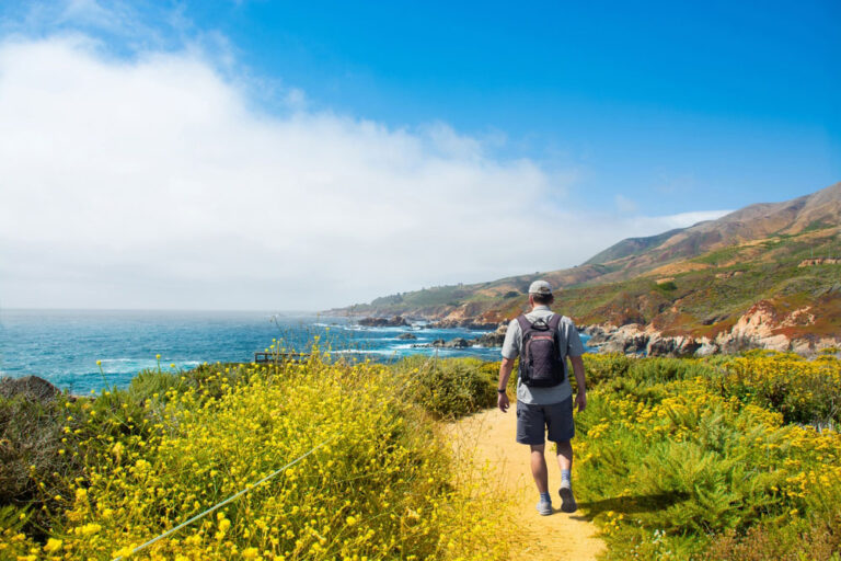 nature therapy in Laguna Beach